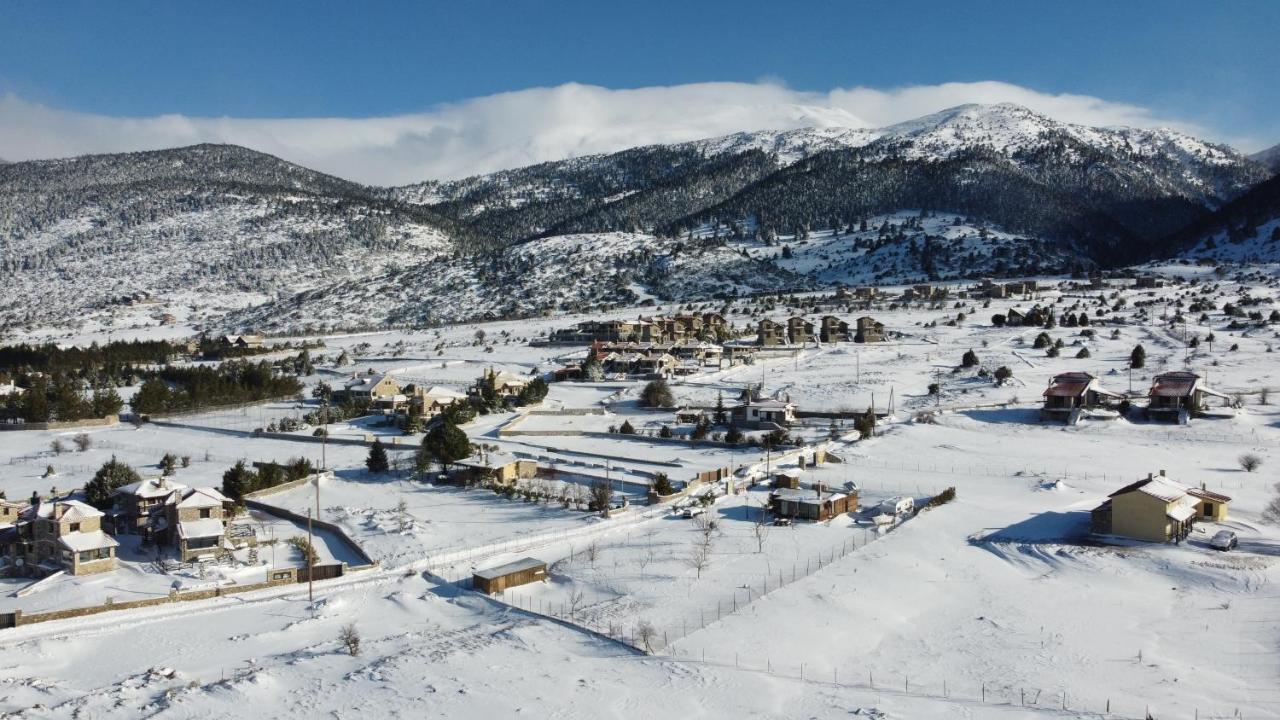 Chalet Renata 2 Livadi Arachovas Kalivia  Bagian luar foto
